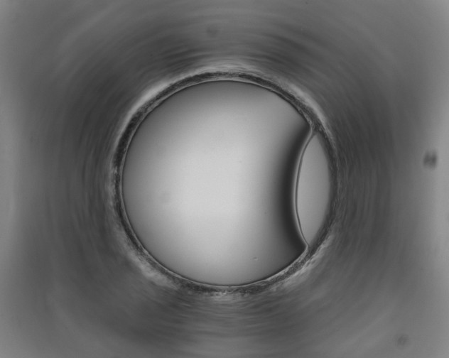 X0000091571029200708200946