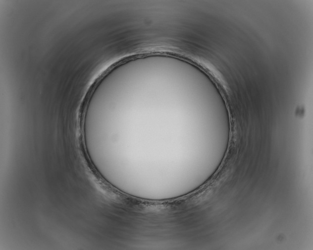 X0000091571031200708200946
