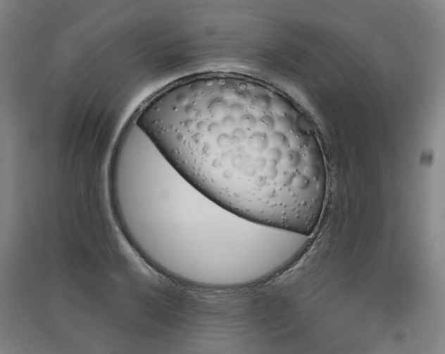 X0000091571032200708200946