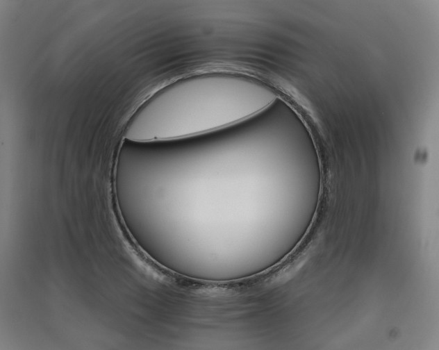 X0000091571033200708200946