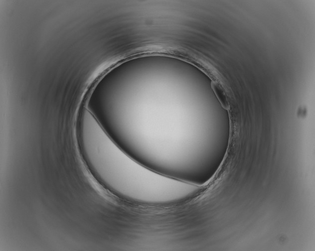 X0000091571034200708200947