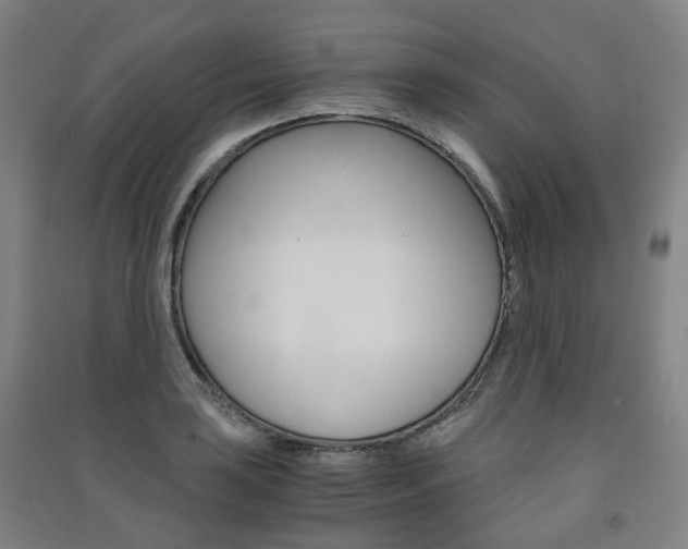 X0000091571035200708200947