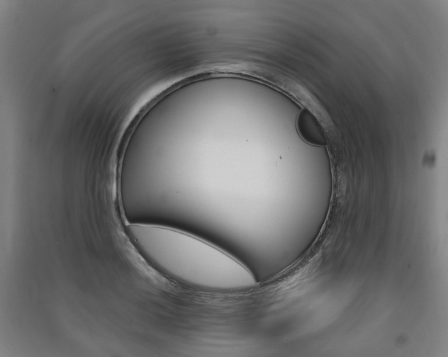 X0000091571036200708200947