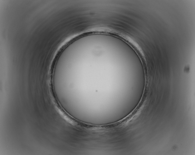 X0000091571037200708200947