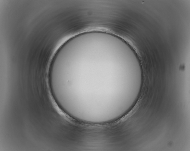 X0000091571038200708200947