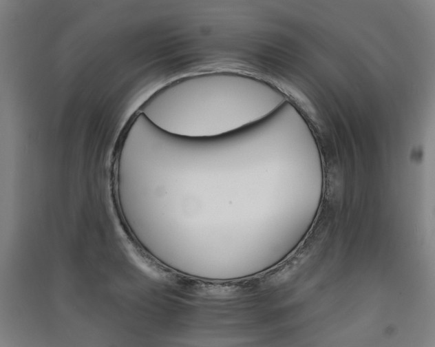X0000091571039200708200947