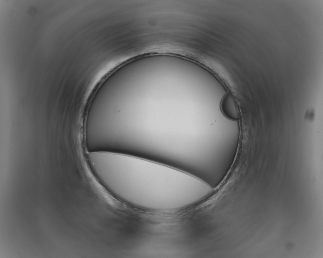 X0000091571040200708200947