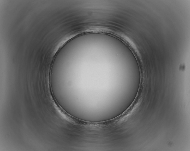 X0000091571041200708200947