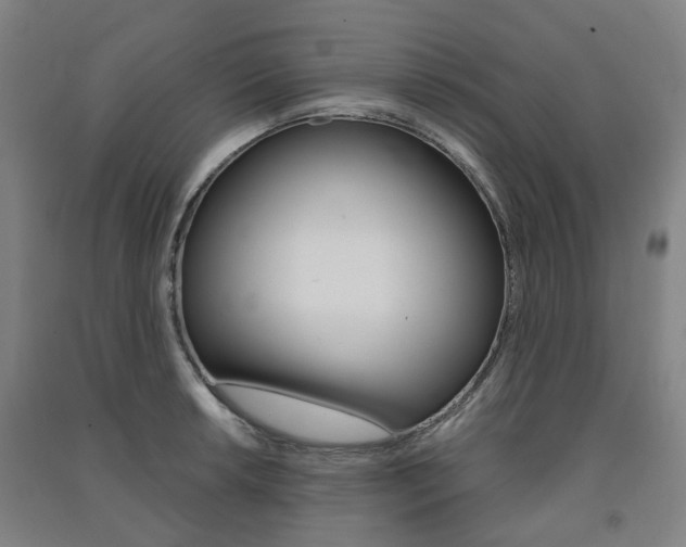 X0000091571042200708200947