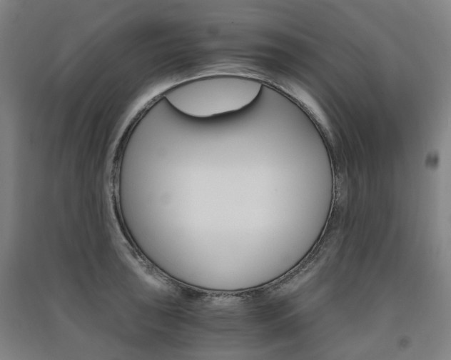 X0000091571043200708200947