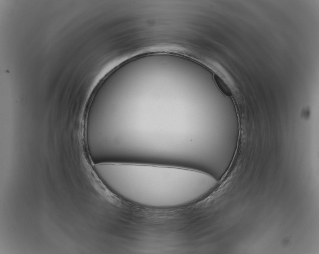 X0000091571044200708200947