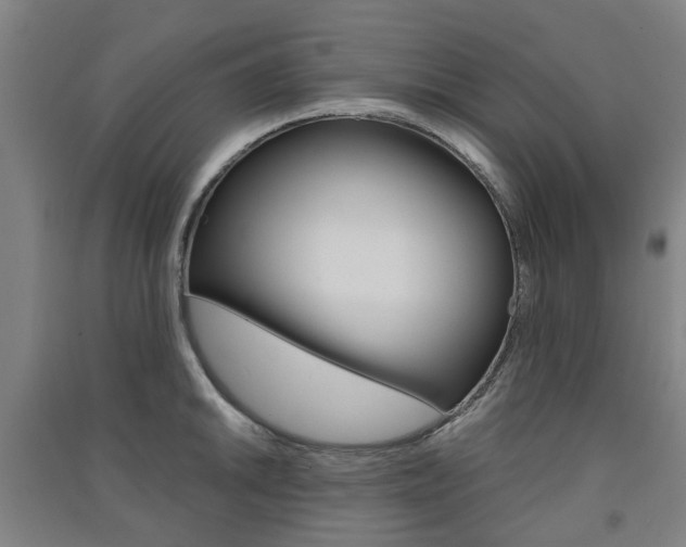 X0000091571046200708200947