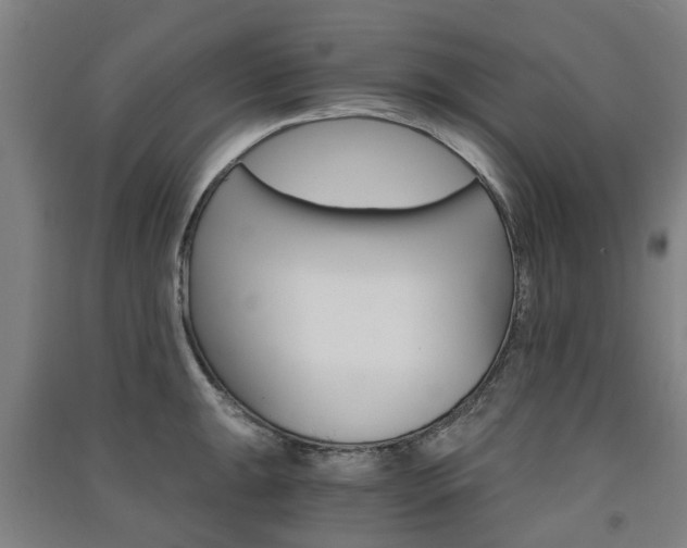 X0000091571047200708200947