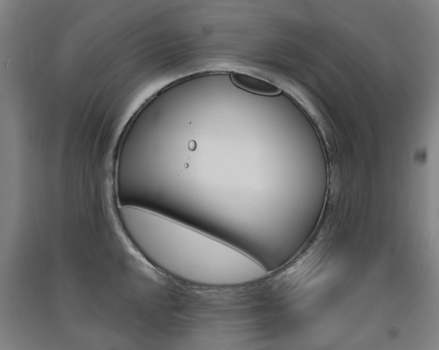 X0000091571048200708200947