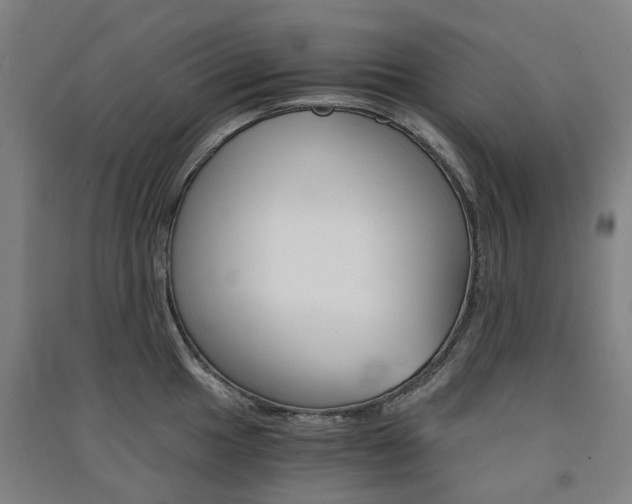 X0000091571049200708200947