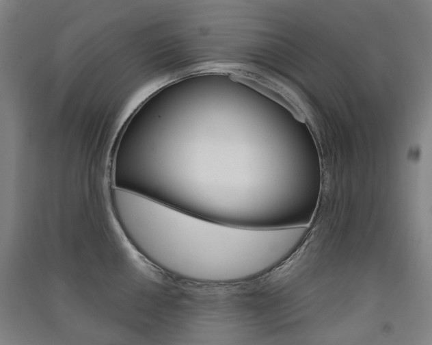 X0000091571050200708200947