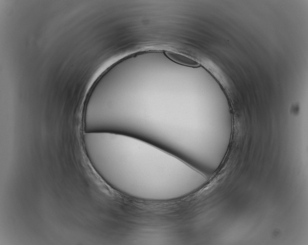 X0000091571052200708200947