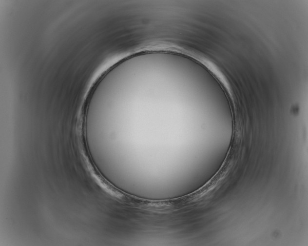 X0000091571053200708200947