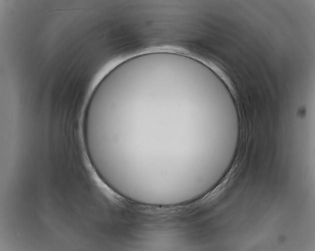X0000091571054200708200947