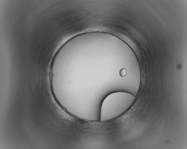 X0000091571055200708200947