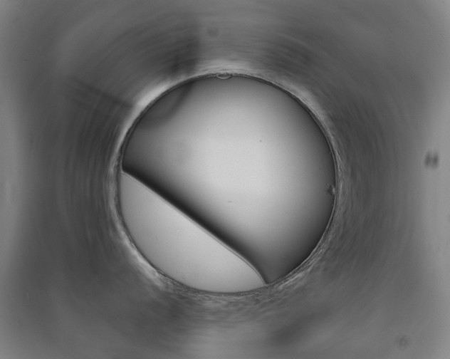 X0000091571056200708200947