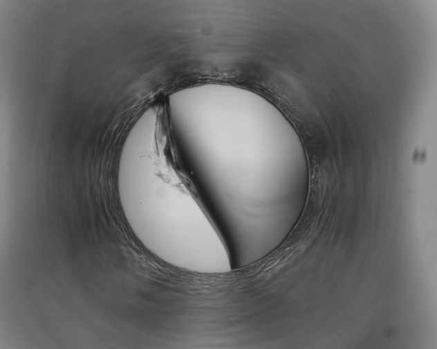 X0000091571058200708200946