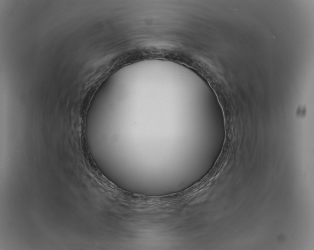 X0000091571061200708200946