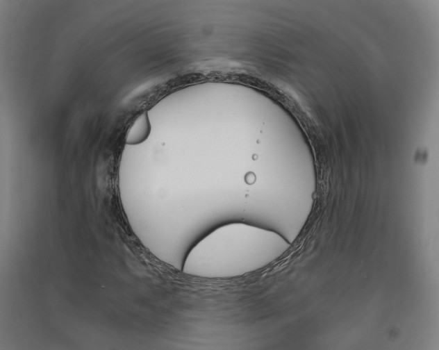 X0000091571063200708200946