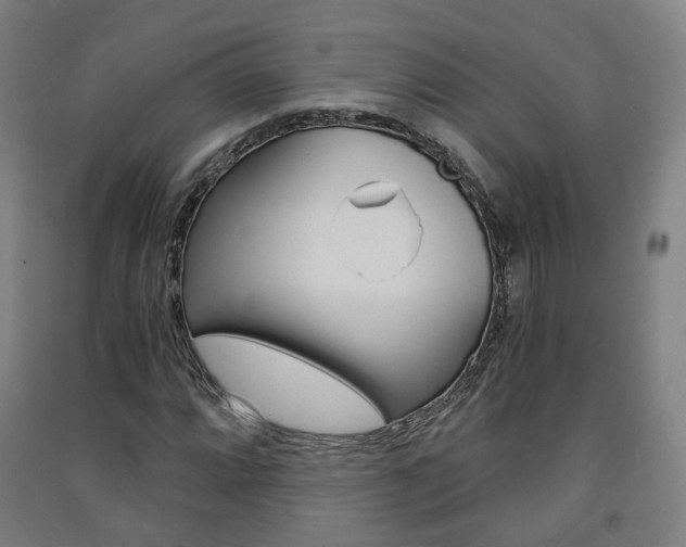 X0000091571064200708200946