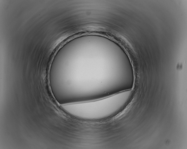 X0000091571065200708200946