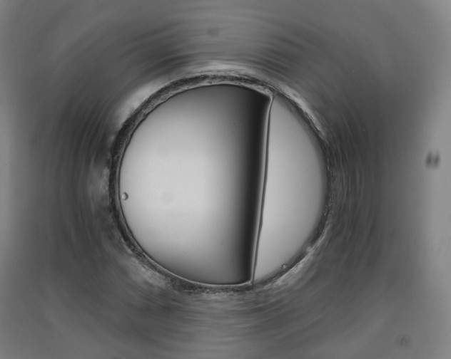 X0000091571066200708200946