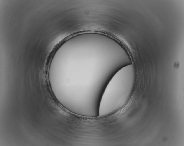 X0000091571071200708200946