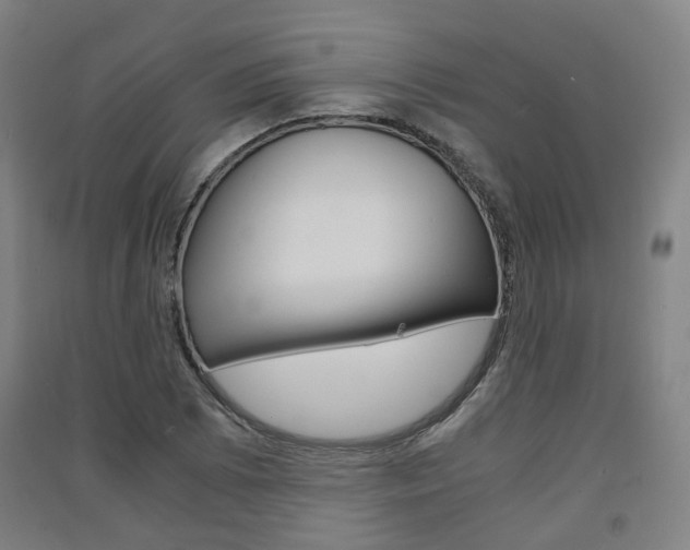 X0000091571073200708200946