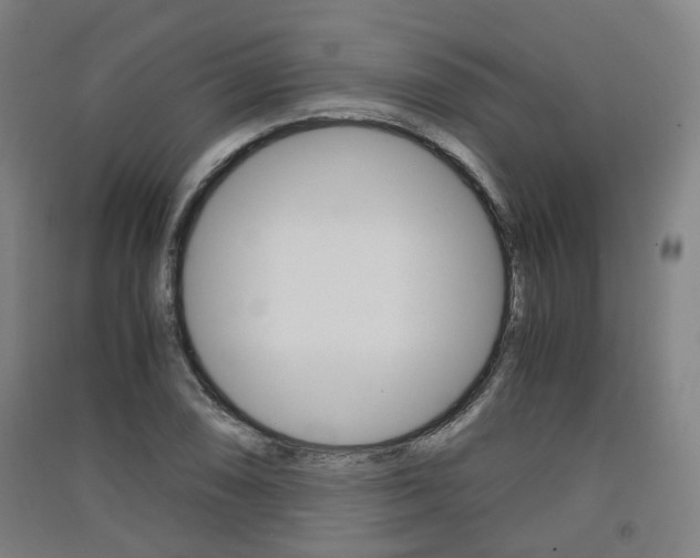 X0000091571074200708200946