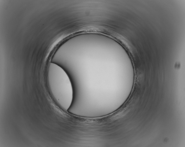 X0000091571075200708200946