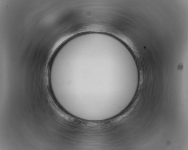 X0000091571078200708200946