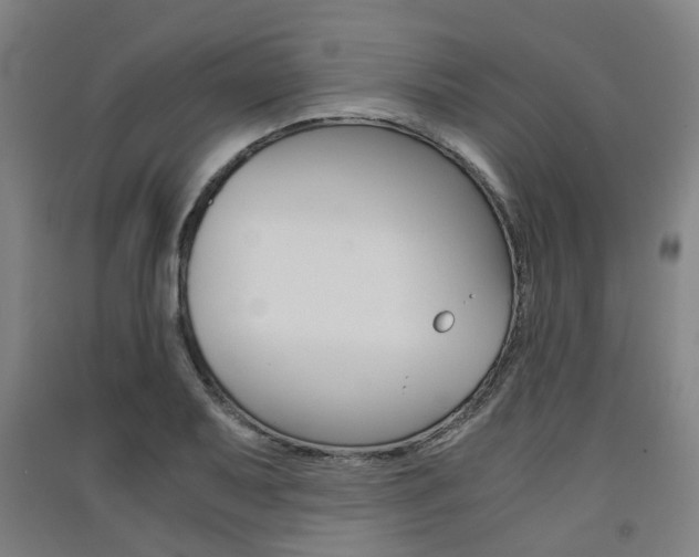 X0000091571079200708200946