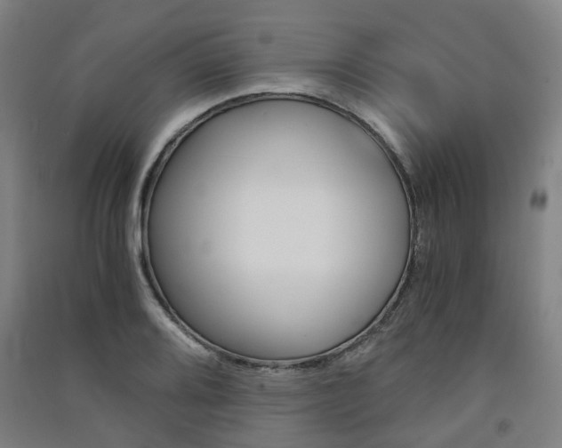 X0000091571080200708200946