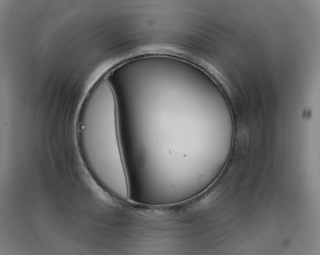 X0000091571082200708200946