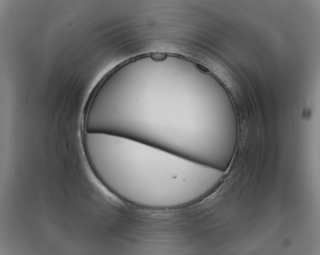 X0000091571084200708200946
