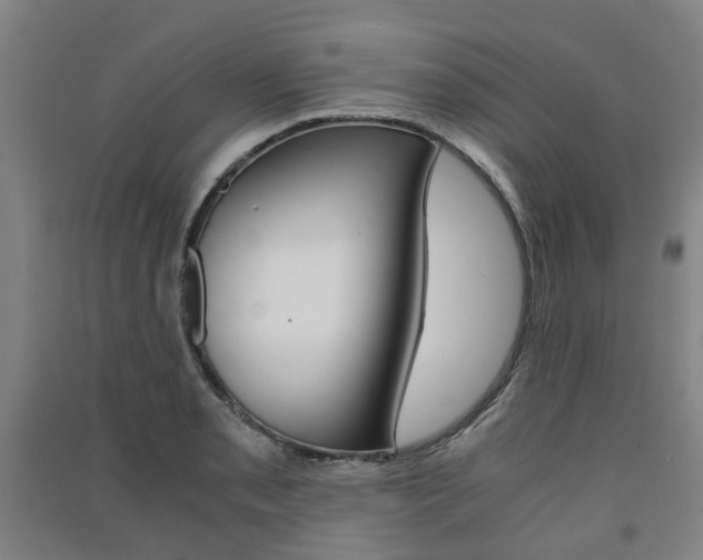 X0000091571085200708200946
