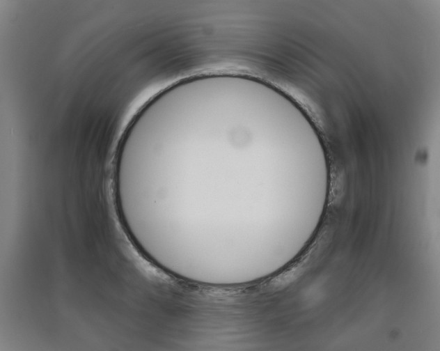 X0000091571086200708200946