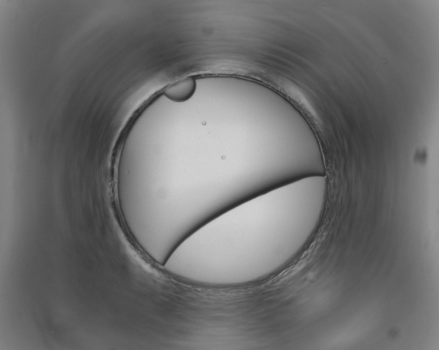 X0000091571087200708200946