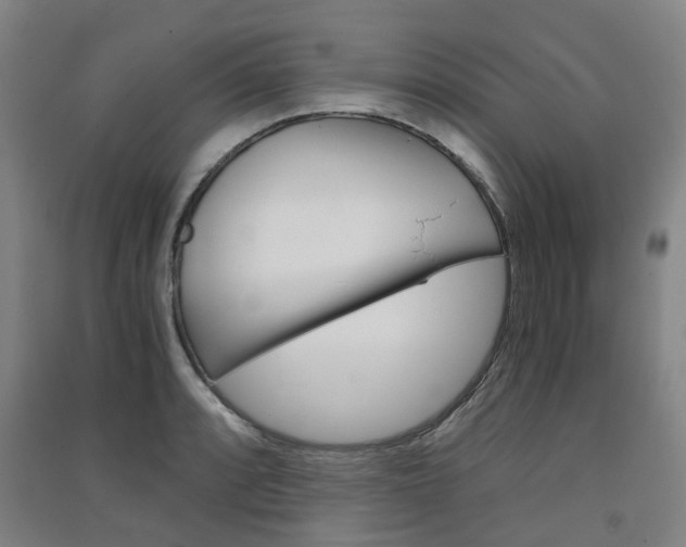 X0000091571088200708200946