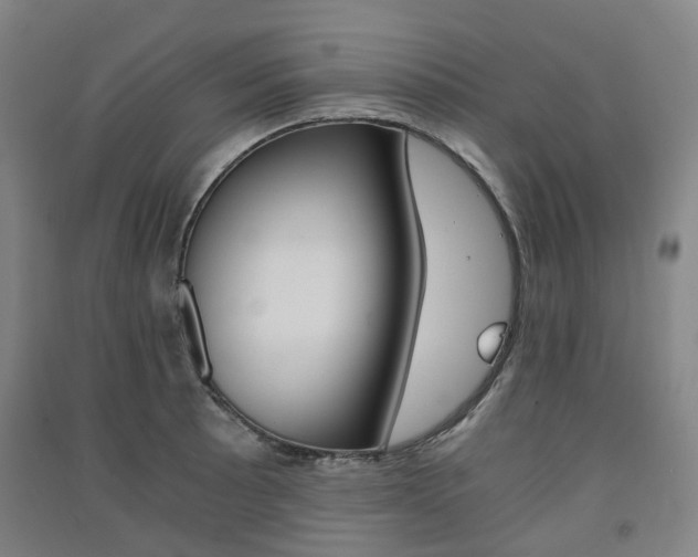 X0000091571089200708200946