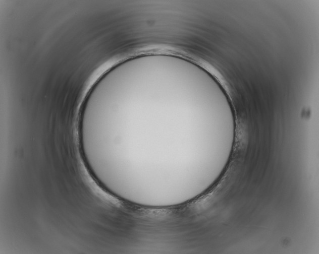 X0000091571090200708200946