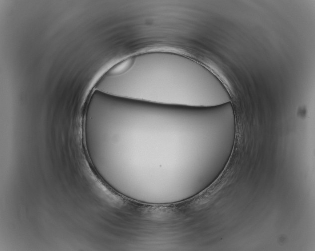 X0000091571092200708200945