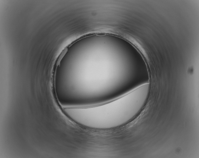 X0000091571093200708200945