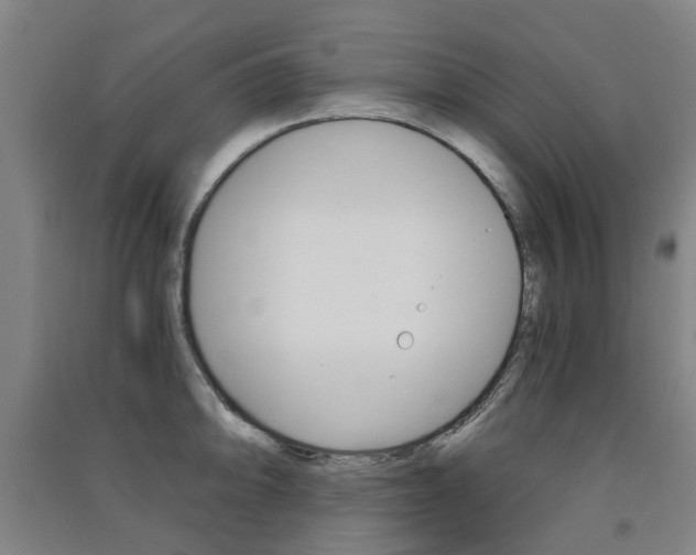 X0000091571094200708200945