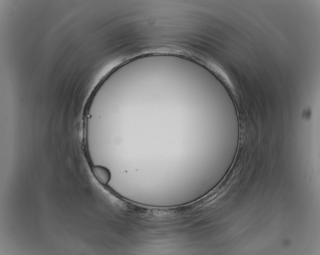 X0000091571095200708200945